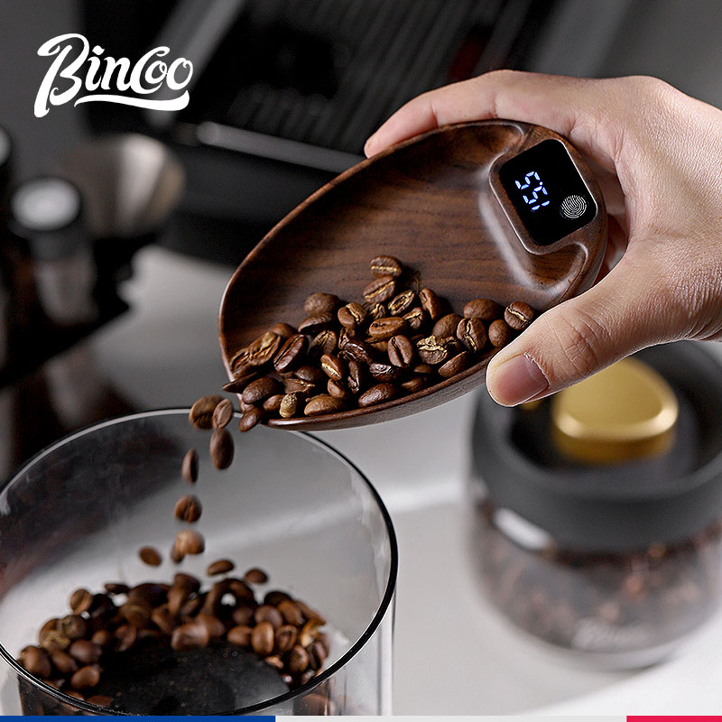 Bincoo led balança eletrônica  - Coffee Bean Scale avaliação e preço